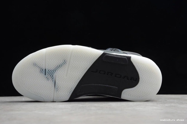 Rep CD2722-001 Grey Jordan Oil 5 Air 0604